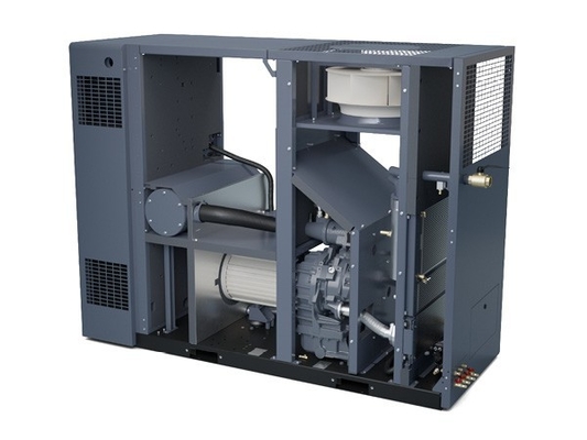 Atlas ZR37-55VSD کمپرسور هوا بدون پیچ بدون روغن برای ایمنی و قابلیت اطمینان محصول
